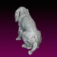 11.jpg Dog statue Spaniel