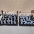 STL file RPG/Wargame Miniature Storage Rack for 25mm/1in Bases