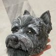 hairy_dog_4.jpg Dog Hairy 3D Model