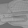 wf0013.jpg Corte esquemático de los dientes etiquetado