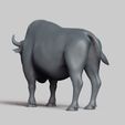 R04.jpg american bison pose 01