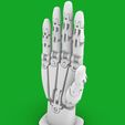 large (1).jpg Robotic Hand