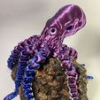 Octopus-on-a-rock.jpeg **FLEXI ARTICULATED Octopus 3D MODEL WITH MOVING SEGMENTS**