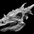 dracorex-skull-3d-model-9ba6504fd9.jpg Crâne de Dracorex