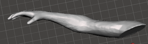 Captura-de-pantalla-2025-03-09-201214.png right arm