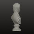 Darcy-2.jpg Busto de Mr. Darcy