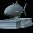 Greater-Amberjack-statue-32.png fish greater amberjack / Seriola dumerili statue detailed texture for 3d printing