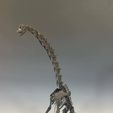 received_738303334879369.jpeg Brachiosaurus  Skeleton