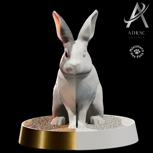 IMG_2373.jpeg Bunny Rabbit