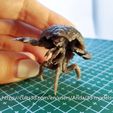 20231223_234835.jpg Mirelurk - Fallout creatures - high detailed even before painting