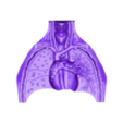 internal_body_top.stl Modelo de torso de anatomía humana