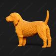 875-Basset_Fauve_de_Bretagne_Pose_02.jpg Basset Fauve de Bretagne Dog 3D Print Model Pose 02