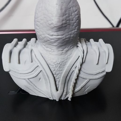 1676506529205.jpg crânio