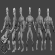 file_43994c7759_original.png Free STL file 5.5 3D HE Barbarian - Magnet Version・3D printing model to download