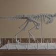 untitled5.png Carnotaurus skeleton 60 cm 3d print