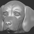 16.jpg Puppy of Pointer dog head for 3D printing