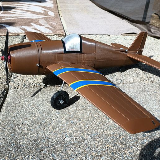 IMG_20220629_085521938.jpg R/C Hellcat (Mini) V1