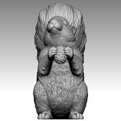 squirrel9.jpg STL-Datei Eichhörnchen・Design für 3D-Drucker zum herunterladen