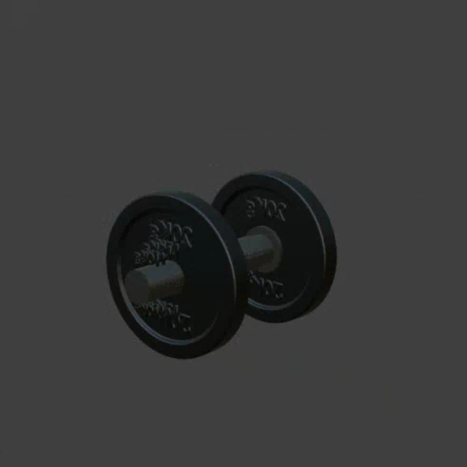 IMG_7290.png Símbolo del gimnasio