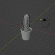Screenshot-2024-06-28-101217.png potted cactus