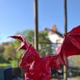 20250404_173101.jpg Roter Drache - Skulptur