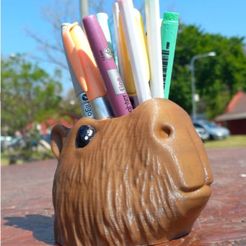 WhatsApp-Image-2024-03-03-at-19.34.10.jpeg Mate, pencil and capybara capybara face flowerpot