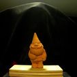photo_display_large.jpg Tiny Gnome