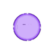 Allèle P+ (partagé).stl Chromosome model