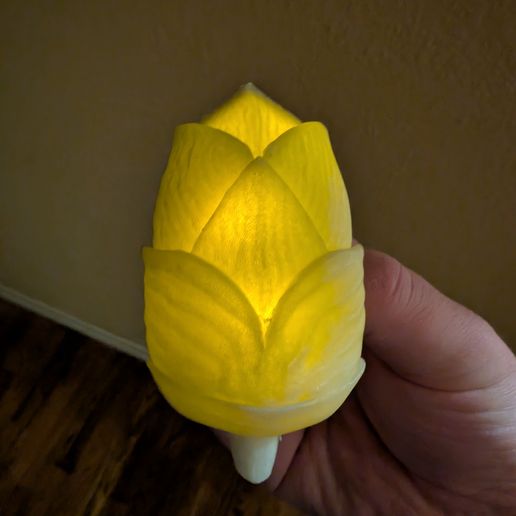 dispelling darkness medal