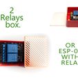 12134.jpg 2 relays box or ESP-01 with relay