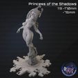 Resin1.jpg Prinzessin der Schatten Druckdateien