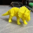 pic6.JPG Triceratops
