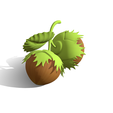 2.png Whole Hazelnuts