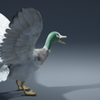 0003.png Photorealistic duck - posable/rigged [stl file included ]