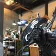 3.jpg Alien Xenomorph Modelo de impresión 3D Modelo de impresión 3D