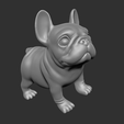 FBD07.png Frage Französische Bulldogge