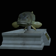 Pike-statue-5.png fish Northern pike / Esox lucius statue detailed texture for 3d printing