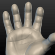 Hand-10.png Hand