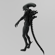 Xenomorfo0013.png Xenomorph Lowpoly Rigged