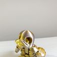 WhatsApp-Image-2023-06-05-at-6.07.11-PM.jpeg Skeleton Duckling Flexi