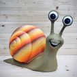 IMG_5853.jpeg Kevin the snail