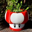 IMG_9189.jpg Mario Themed Mushroom Planter | Assemble-After-Print & Dual-Color/Multi-Material Print Files