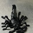 Flexi Print-In-Place Scorpion