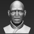 1.jpg Lord Voldemort bust ready for full color 3D printing