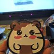 IMG_20230113_222519_01.jpg Chibi Hamster