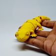 20260221_150153.jpg Salamander STL 3D Printable Animal Figurine