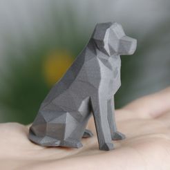 beto thingiverse 2.jpg Free STL file Low Poly Dog - Beto・Model to download and 3D print