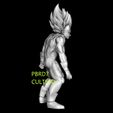 VV3.jpg DRAGON BALL MAJIN VEGETA DRAGON BALL Z