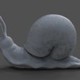 untitled.23.jpg Snail 3D printable model