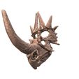 1.jpg Styracosaurus ovatus skull
